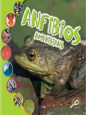 cover image of Anfibios (Amphibians)